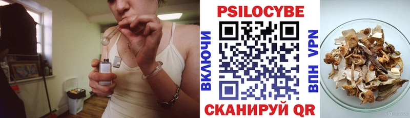 Псилоцибиновые грибы MAGIC MUSHROOMS  Пласт 